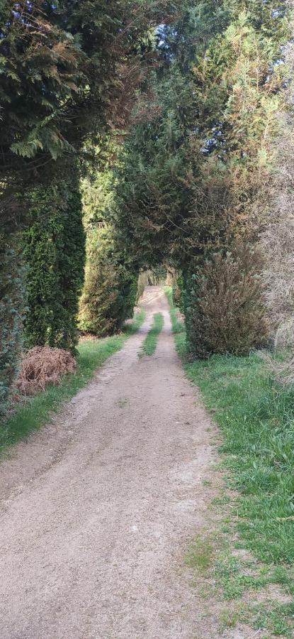 Gite Residence De La Fontaine A Compreignac Kültér fotó